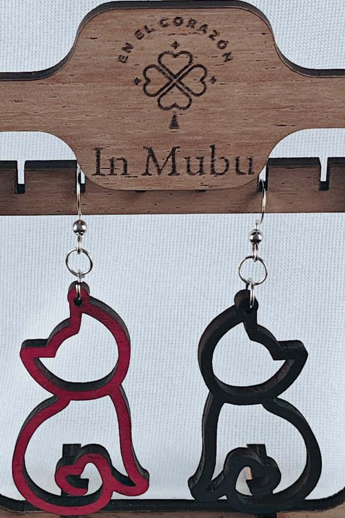 Gato esperando chico.